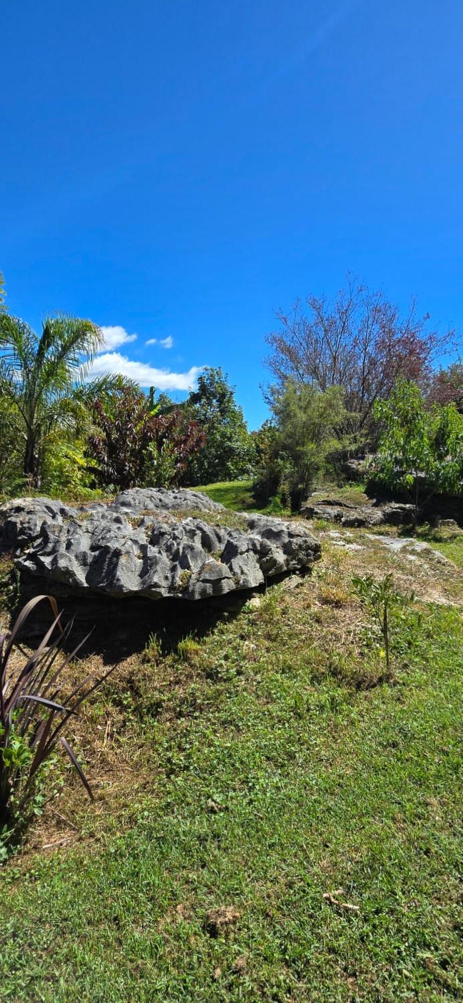 The Rocks Chalets タカカ エクステリア 写真