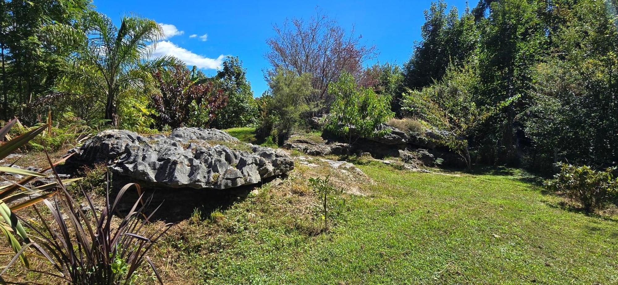 The Rocks Chalets タカカ エクステリア 写真